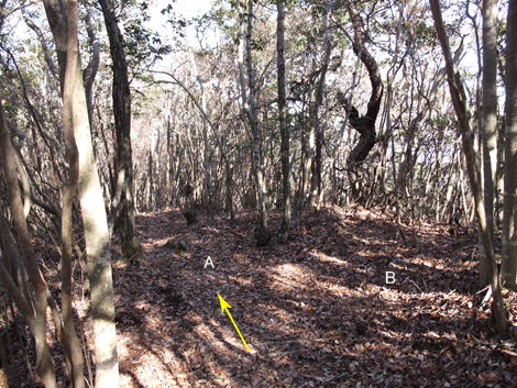 20140103hike (120)